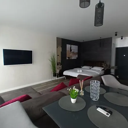 Vip In The Center Lviv
